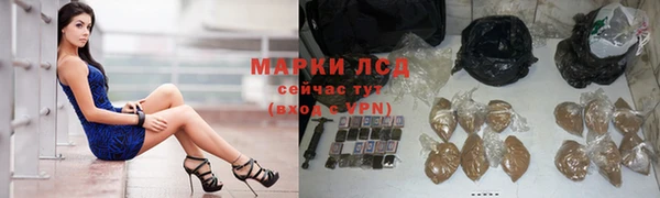 трава Балахна