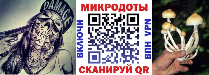 Галлюциногенные грибы Magic Shrooms  Купить где  Гремячинск 